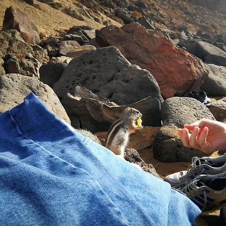 Marine Melody House - Perfect For Relaxing Getaway